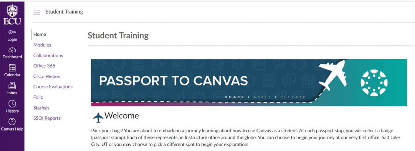 Sneak Peek at Canvas Training